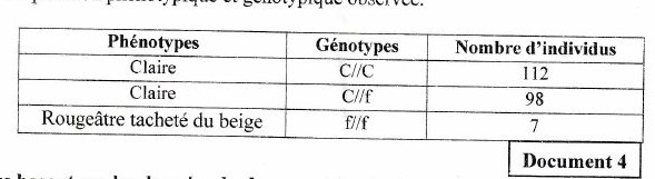 Document 4