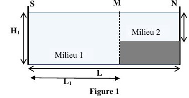 Figure 1 : Coupe longitudinale de la piscine