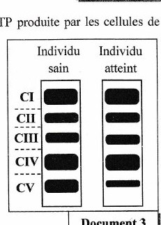 Document 3