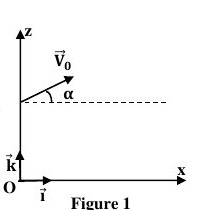 Figure 1 : Mouvement d'un projectile dans le champ de pesanteur