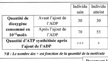 Document 1