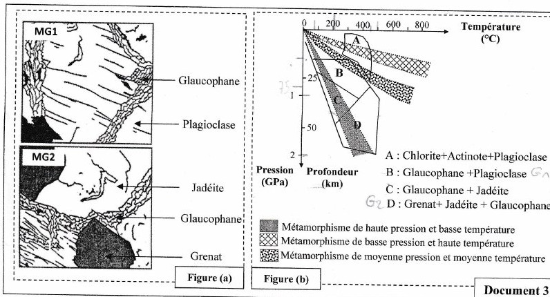 Document 3