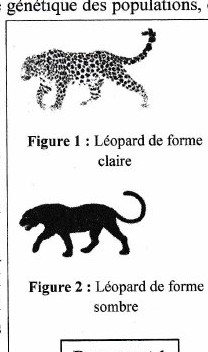 Document 1