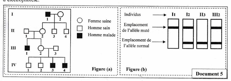 Document 5